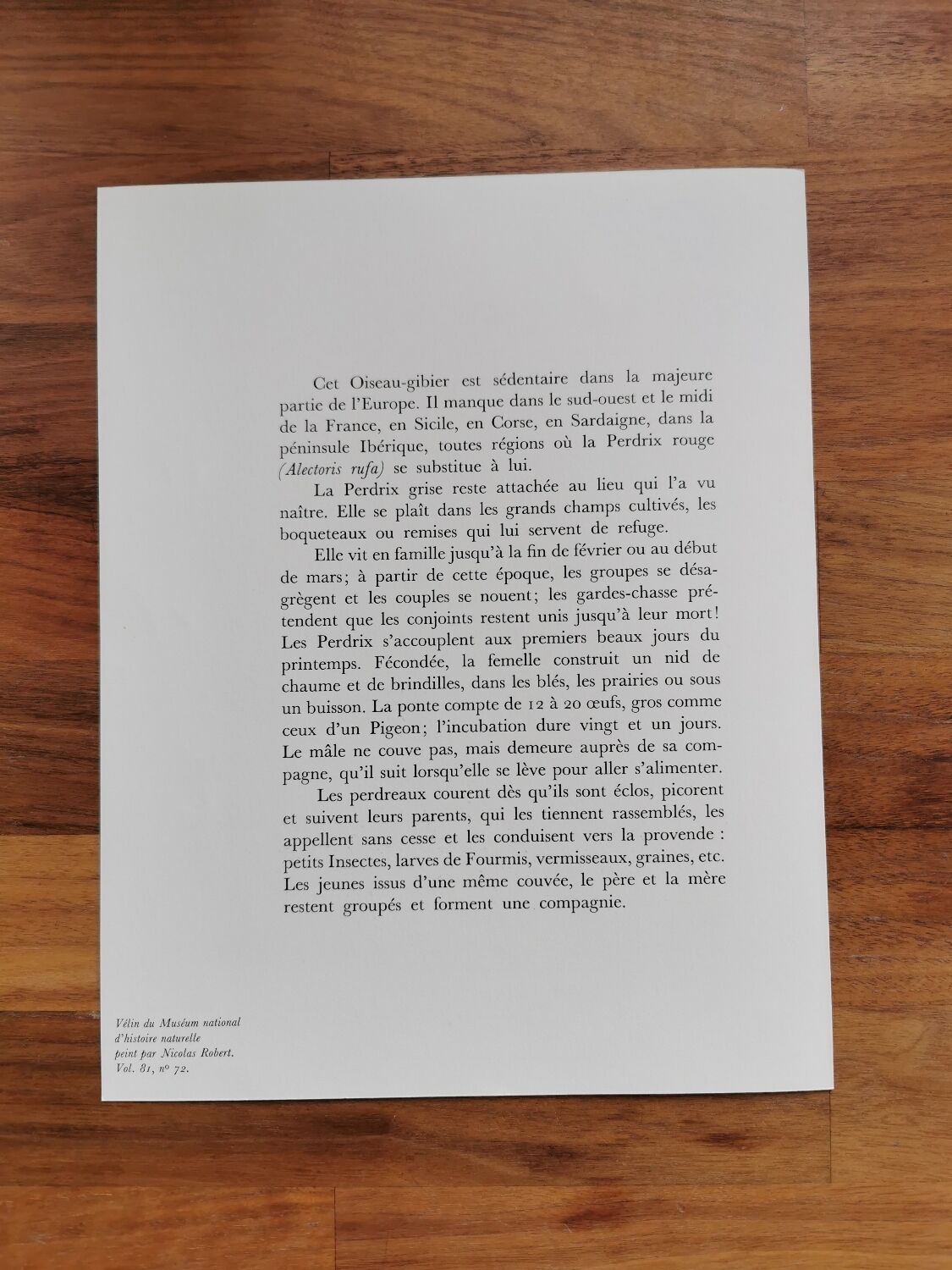 Ancient zoological plate