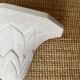 Paire d'appliques en plâtre, décor palmettes, XXe
