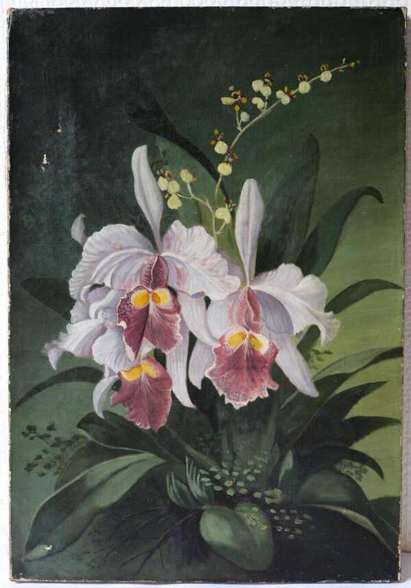 Peinture orchidées fleurs, nature morte bouquet