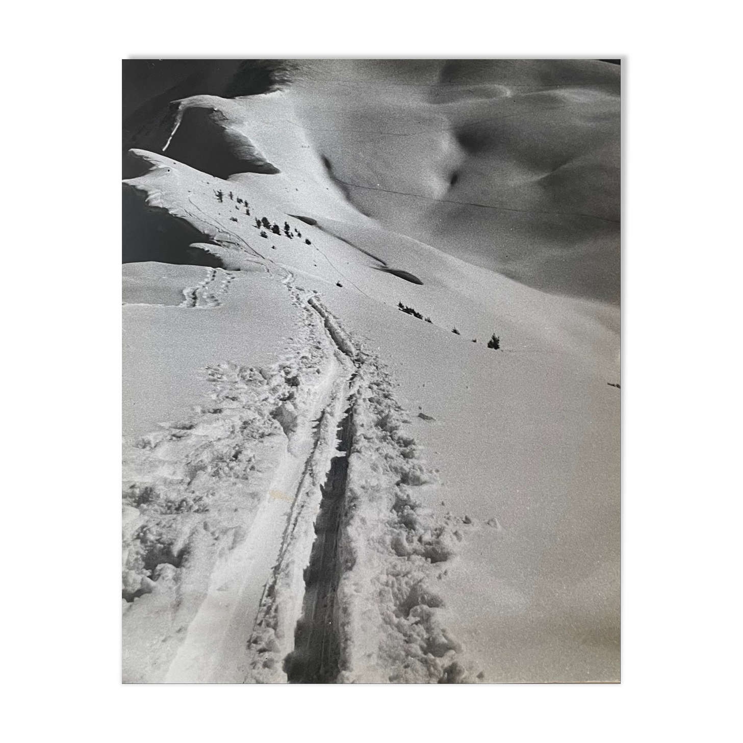 Old black and white silver photography early twentieth century