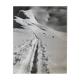 Old black and white silver photography early twentieth century