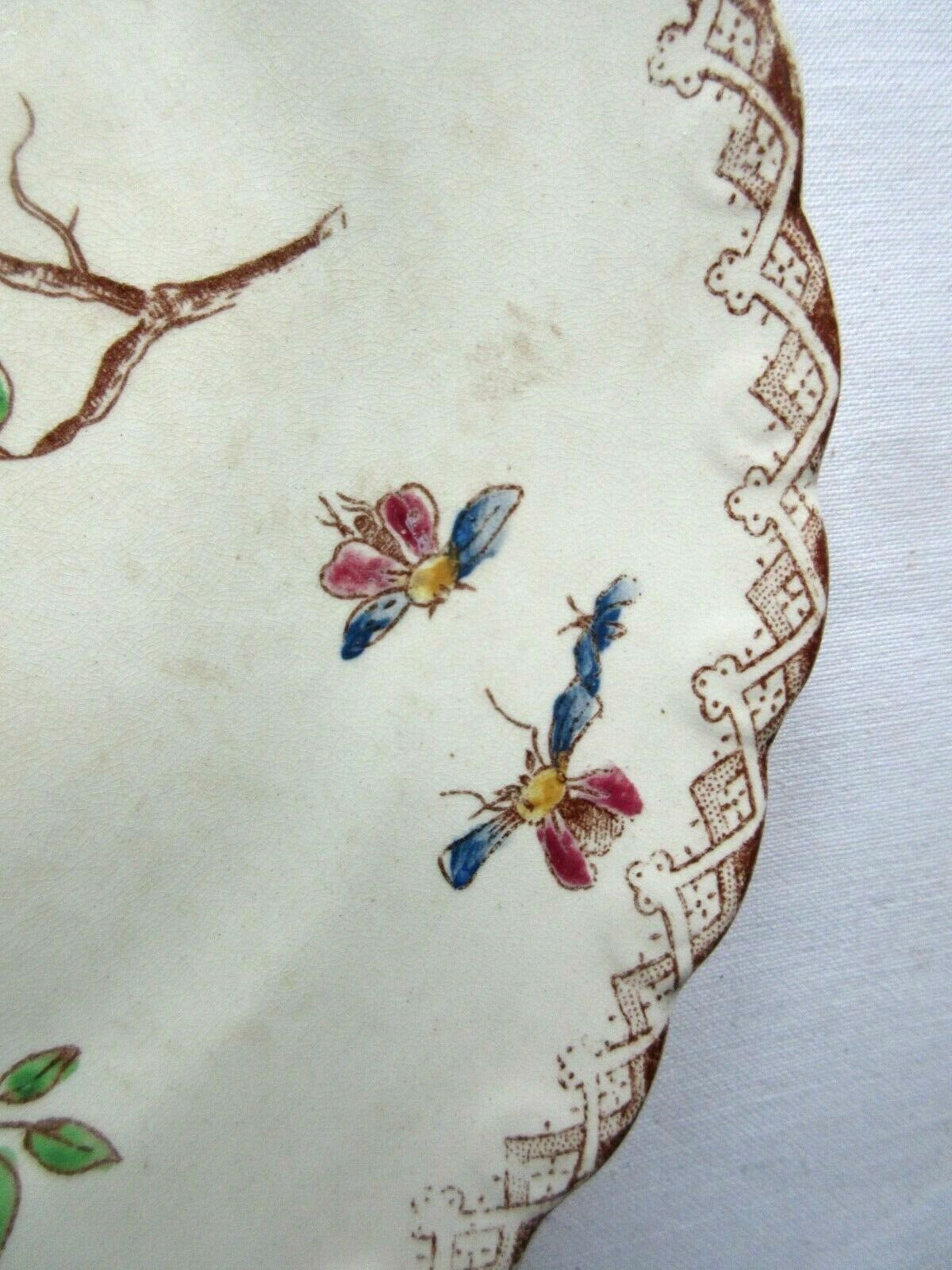 Assiette polychrome à dessert signée onnaing, oiseaux, papillons et fleurs