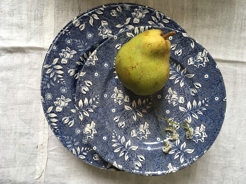 Lot of vintage English plates