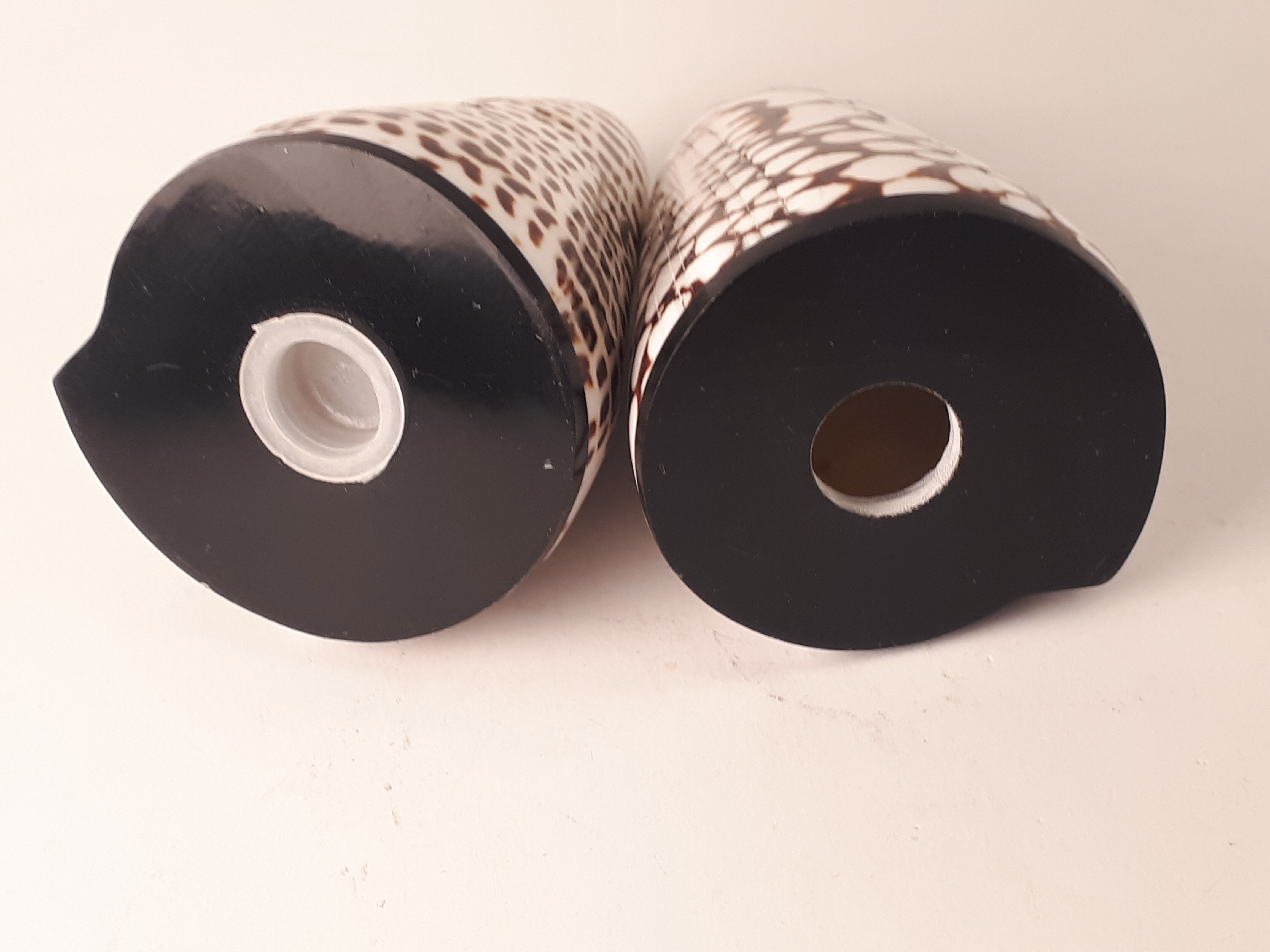 salt salt shaker sea shell real vintage nature curiosity