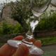 Set of 6 antique crystal champagne flutes. Engraved frieze.