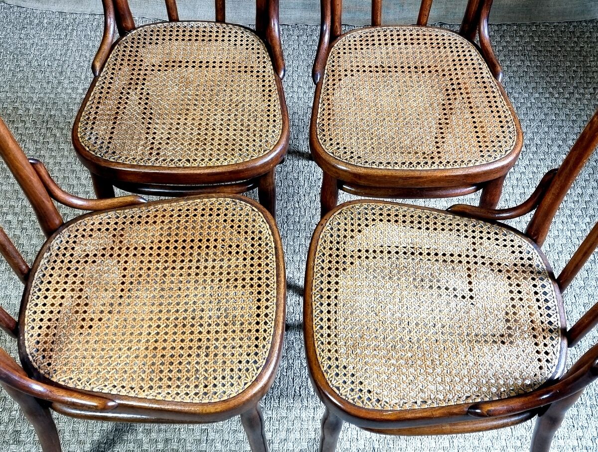 4 chaises Thonet n°56 de 1910 ca