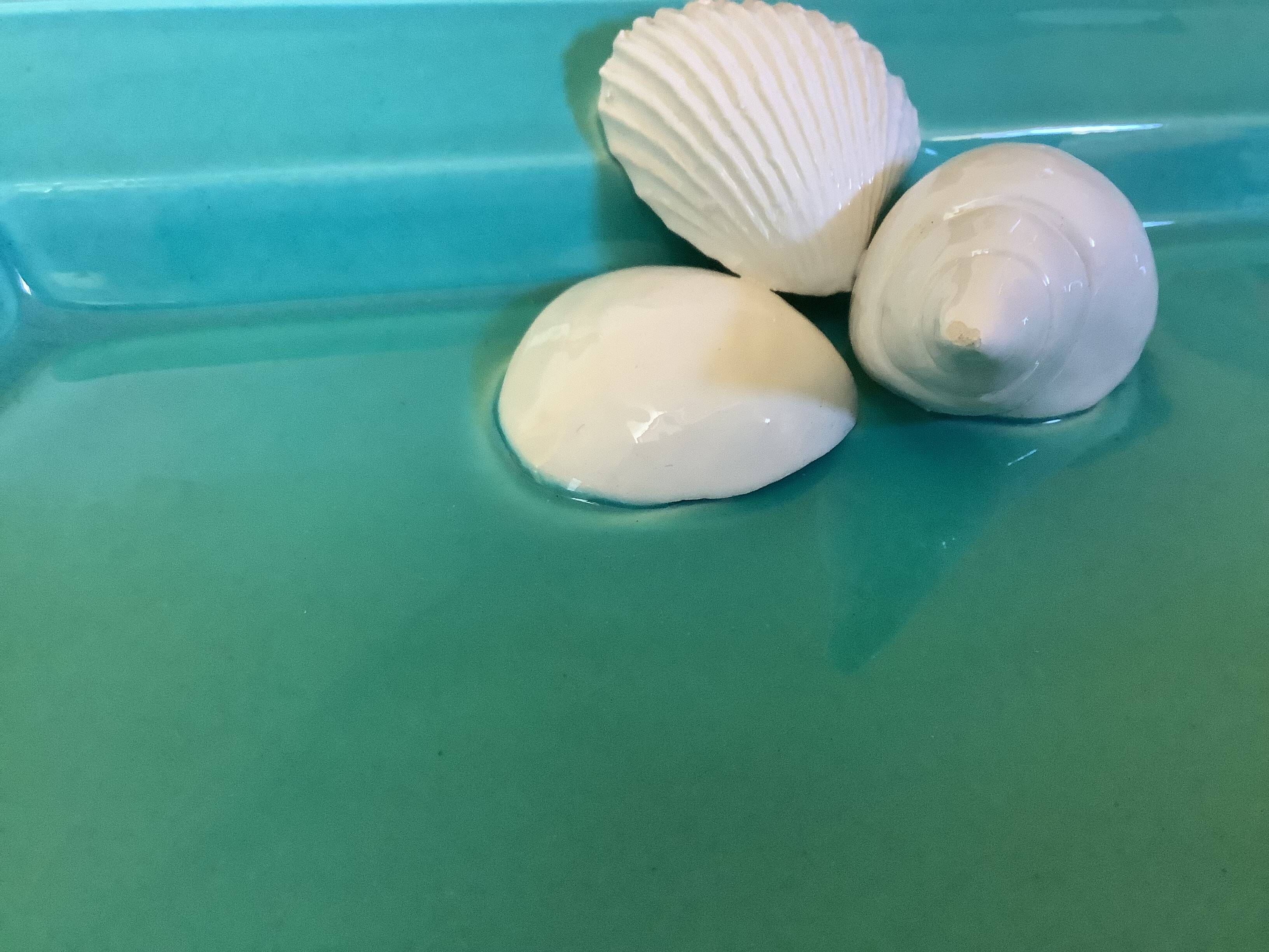 Vide poche coquillages bleu turquoise, Italie