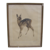 Old Fawn print