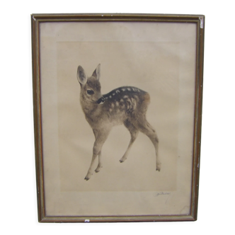 Old Fawn print