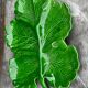 Green Ceramic Hors d'Oeuvres Dish in Leaf Shape, Art Deco Period