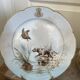 Antique 6x Sèvres Porcelain Plates Lahore & Basket 19th Century Hunting