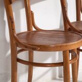 Anciennes chaises Thonet en bois courbé (c.1940). Ensemble de 4 pièces