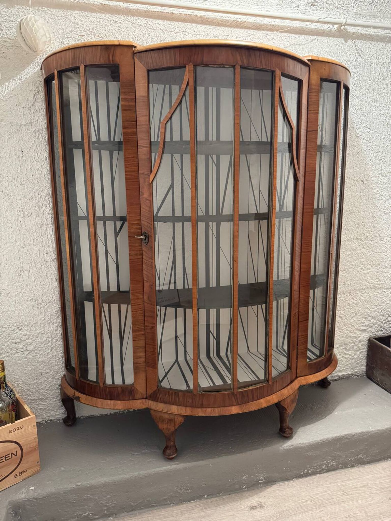 Vintage curved display case in wood and glass – Art Deco style / 1940s