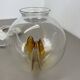 Modernist Toni Zuccheri Table Light by Kaiser Leuchten Germany 1970