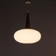 Opaline glass & teak pendant lamp by Louis Kalff for philips, 1960s