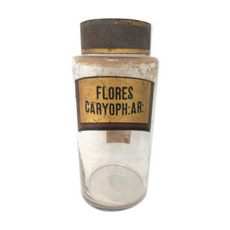 Apothecary jar 1900