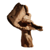 Sculptural lamp in burl wood