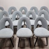 Chaises de Salle à Manger par Antonin Suman, 1960s, Set de 12