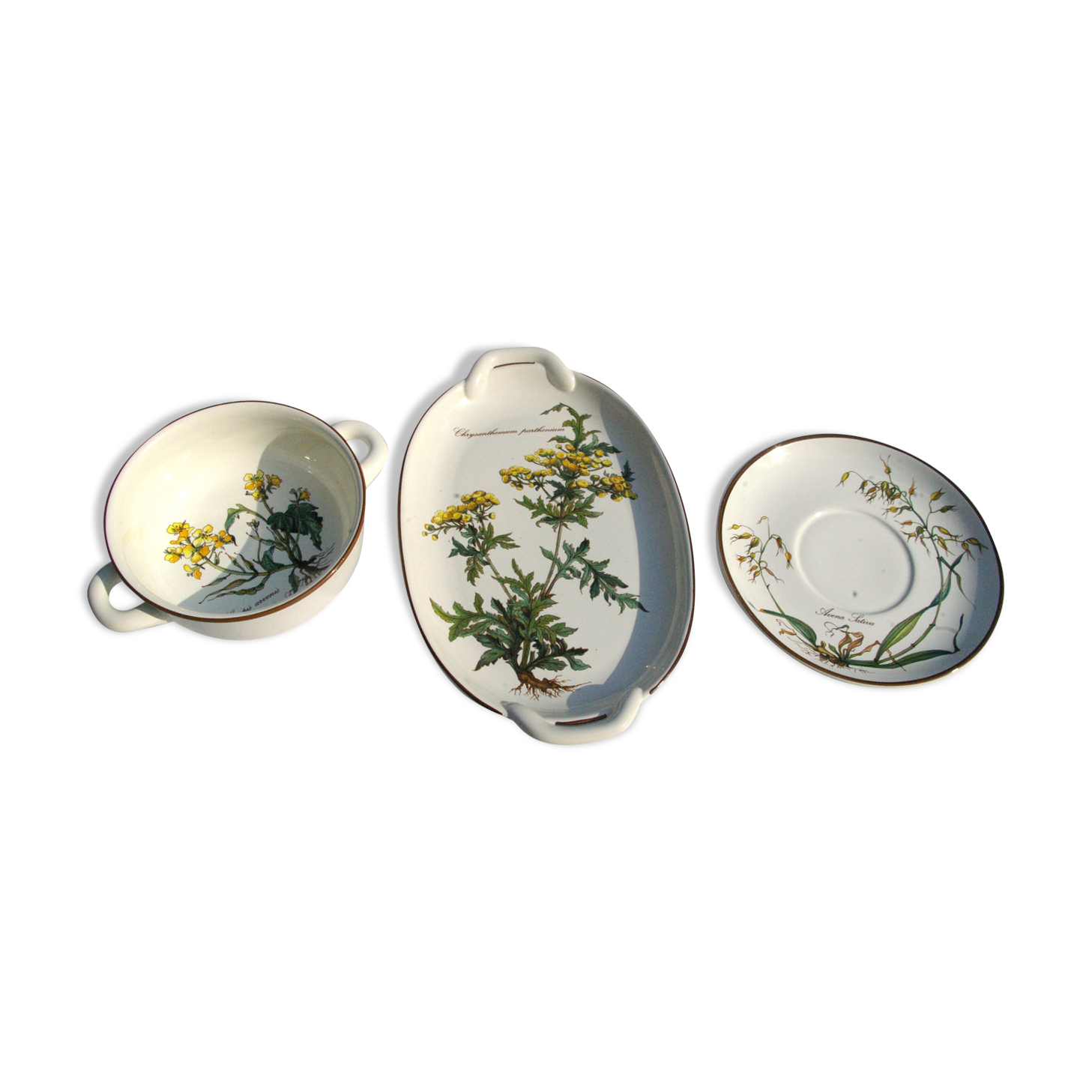 Small Batch of dishes and saucer Villeroy & Boch model Botanica