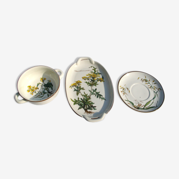 Small Batch of dishes and saucer Villeroy & Boch model Botanica