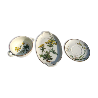 Lot de plats et soucoupe Villeroy & Boch modèle Botanica