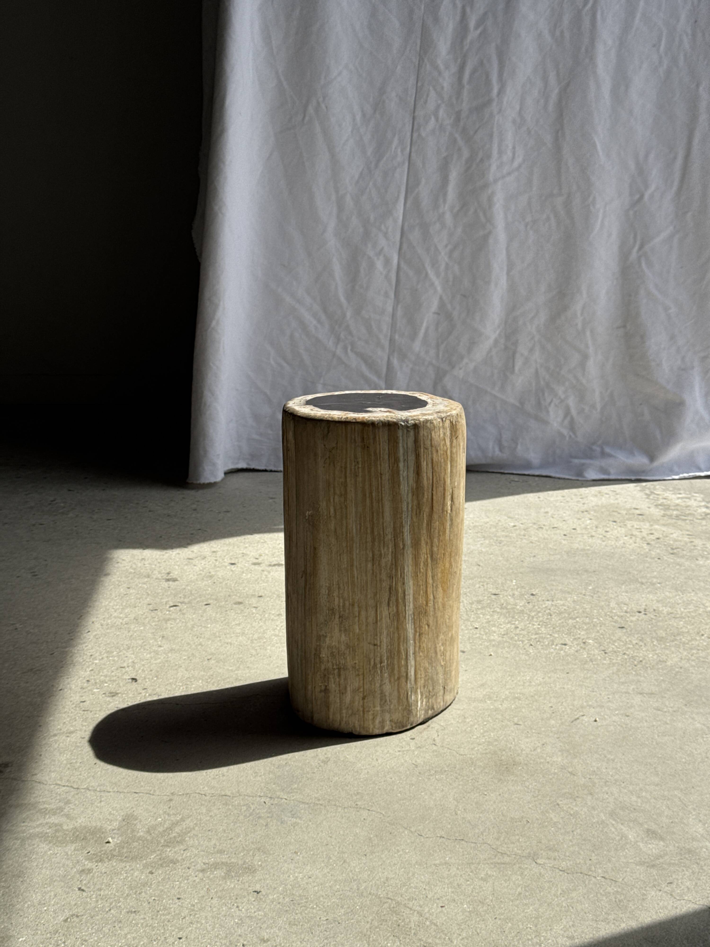 Table d'appoint en bois pétrifié, écorce blanche