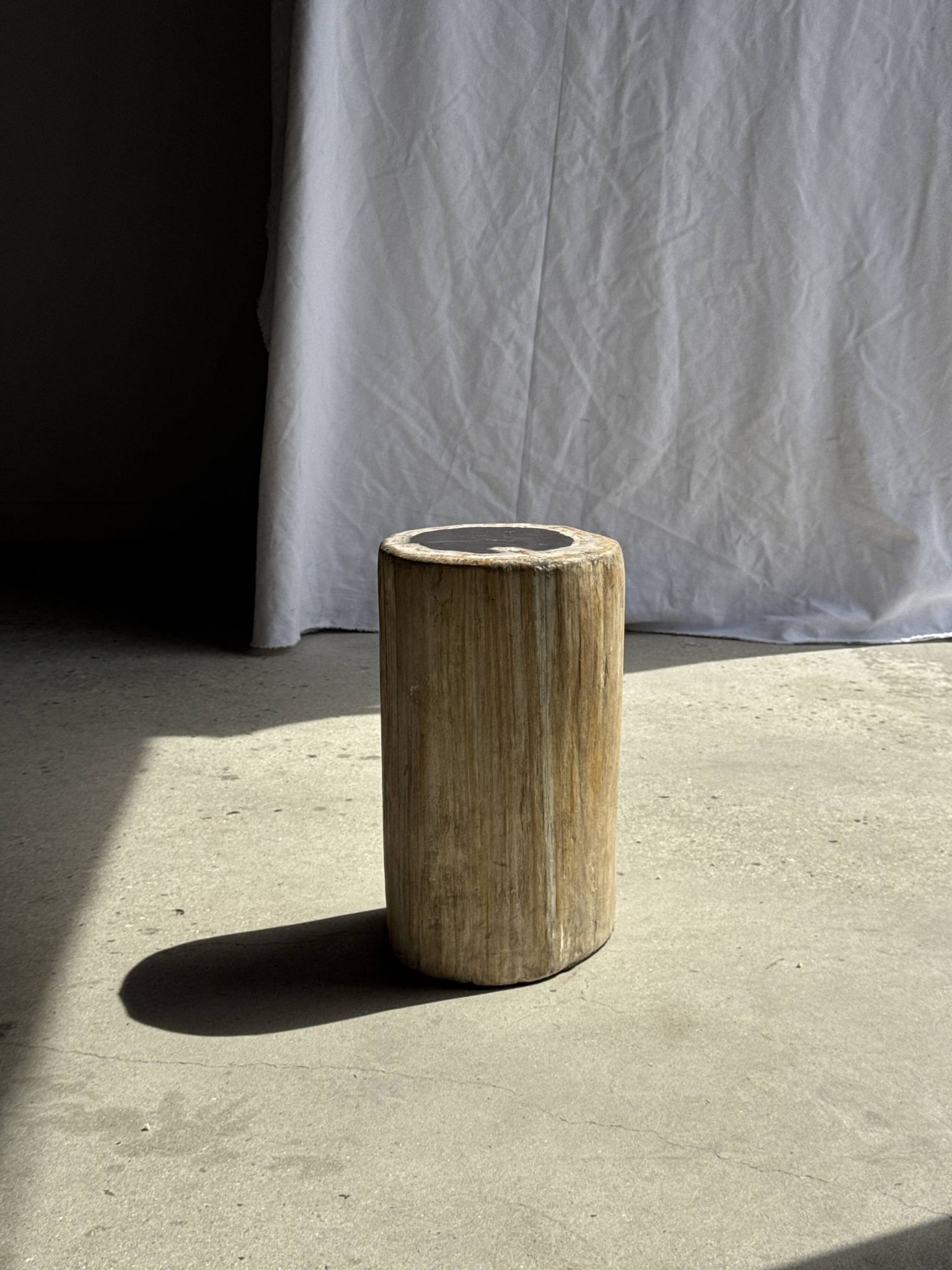 Petrified wood side table, white bark
