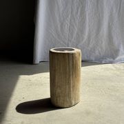 Petrified wood side table, white bark