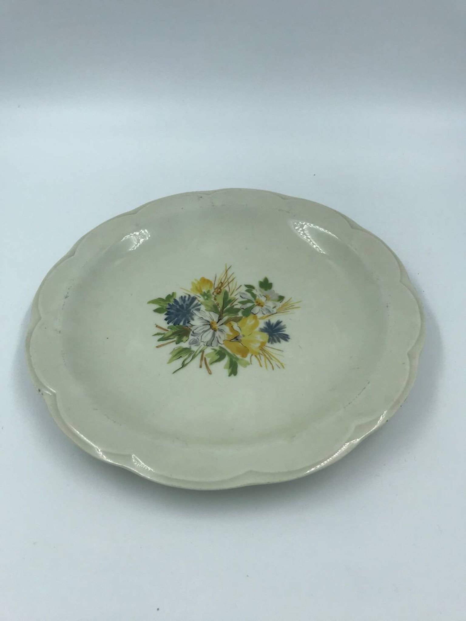 Limoges porcelain plate Haviland