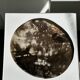 Dish in petrified wood