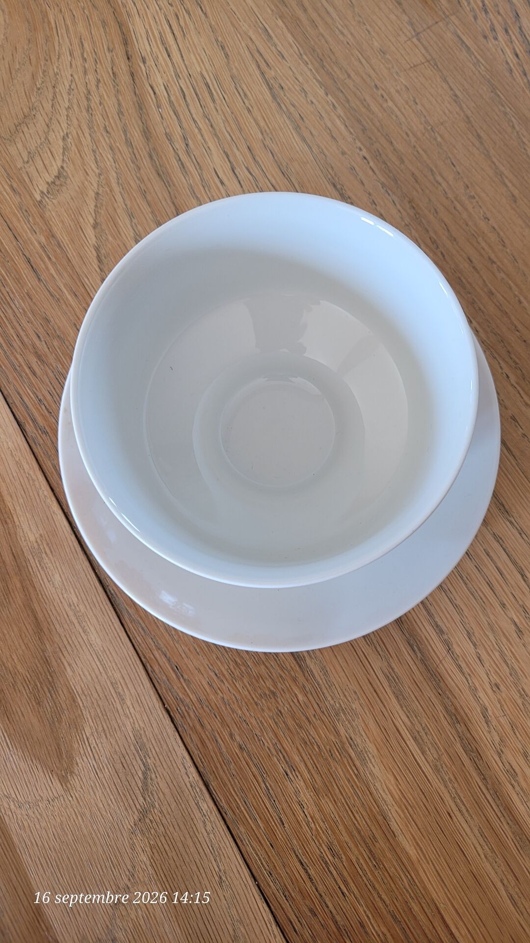 Bol vintage monobloc
