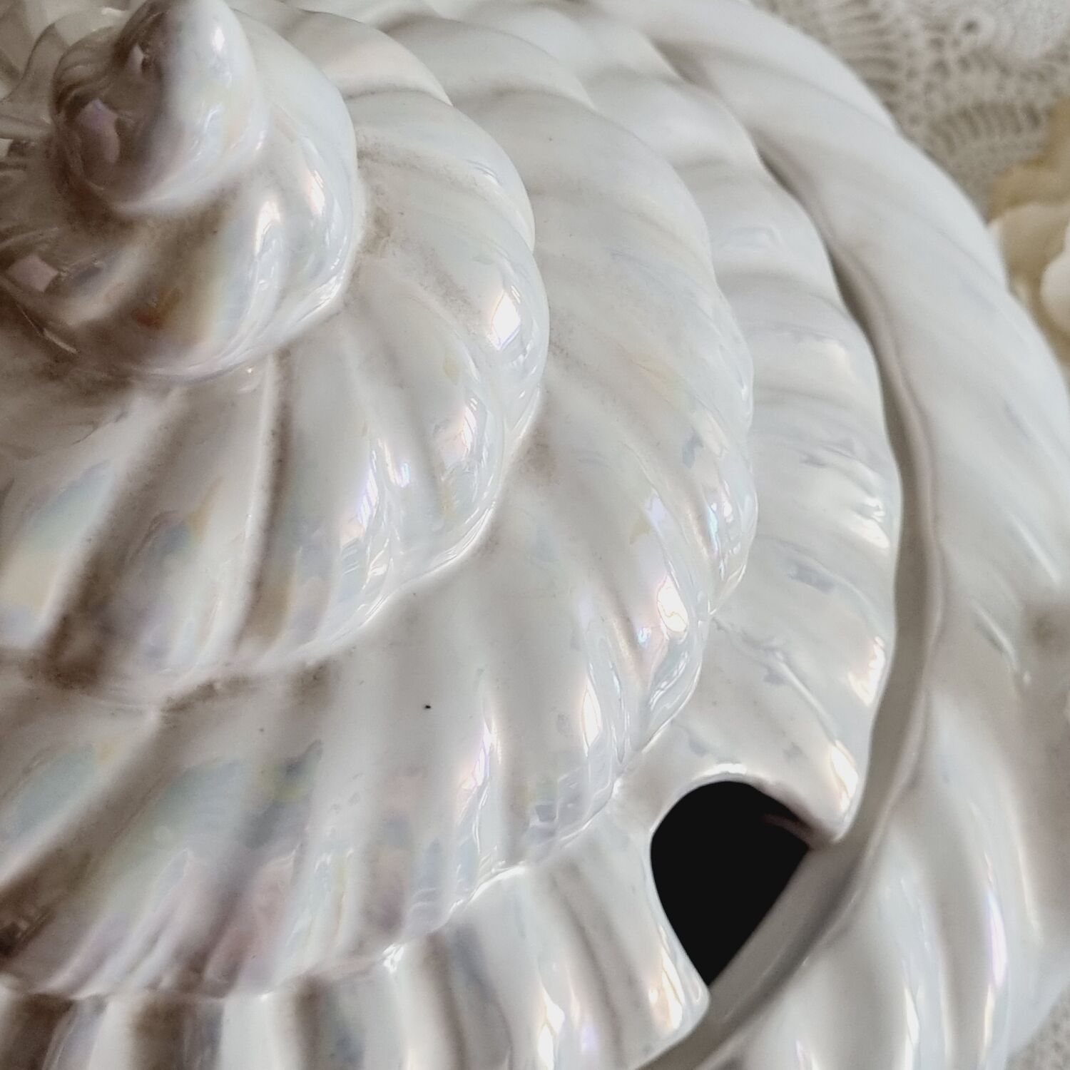 Shell tureen in slurry Portugal
