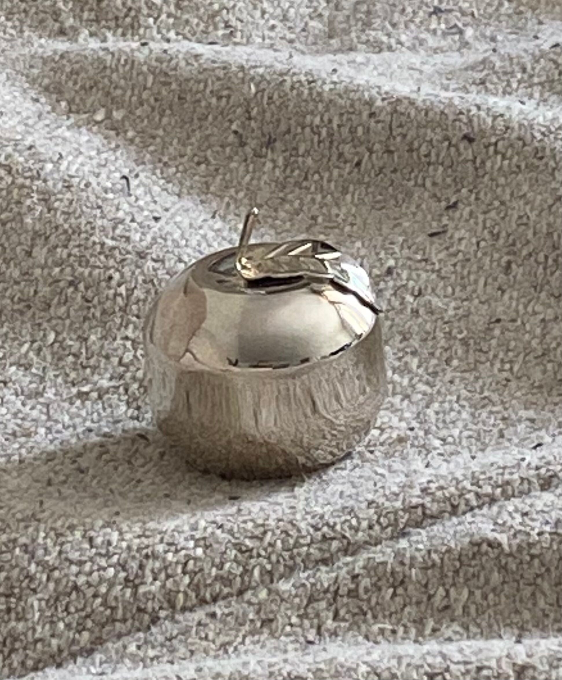 Salt and pepper shaker apple shape
