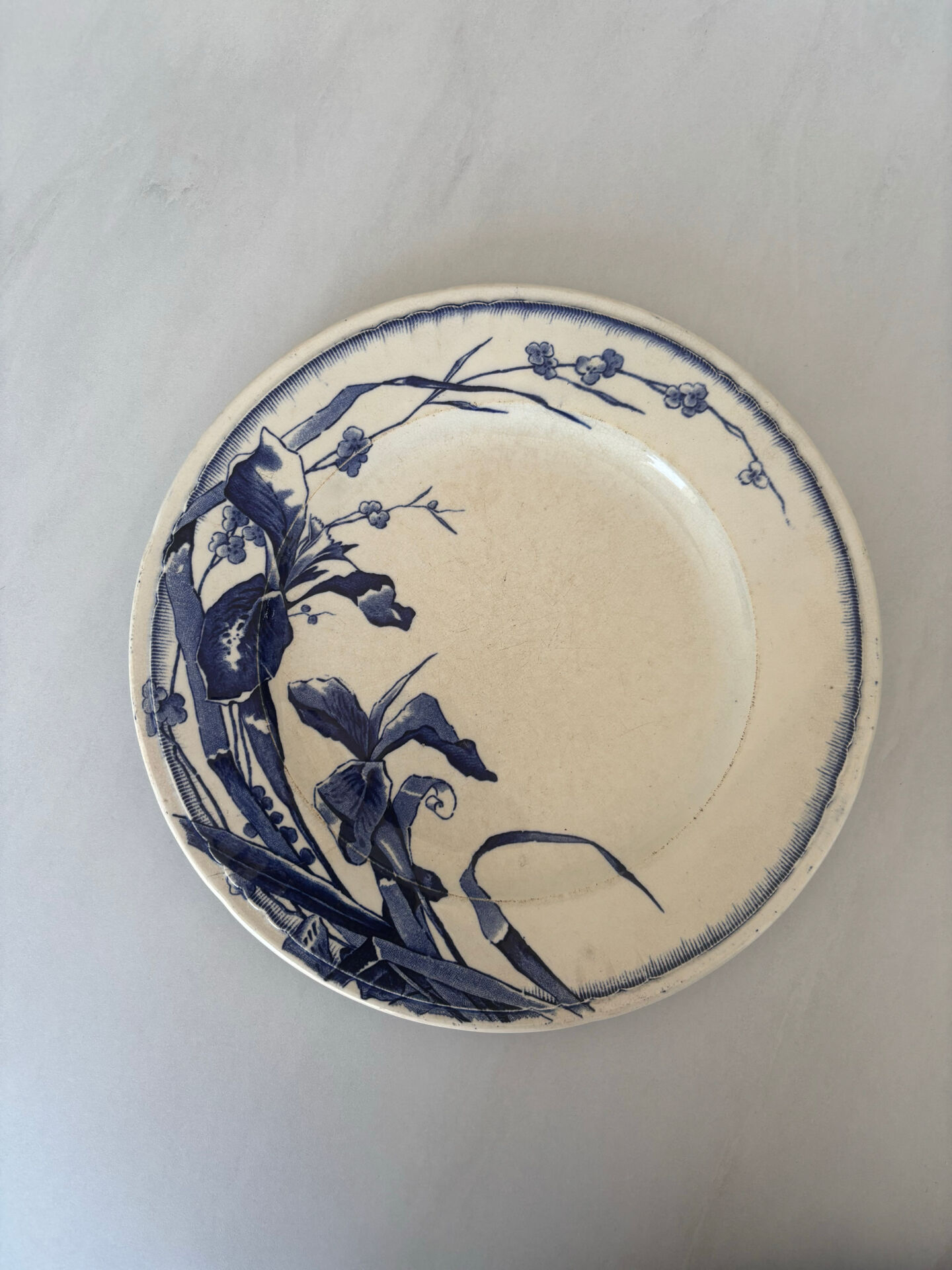 Antique blue night ironstone plate with floral pattern | Earthenware