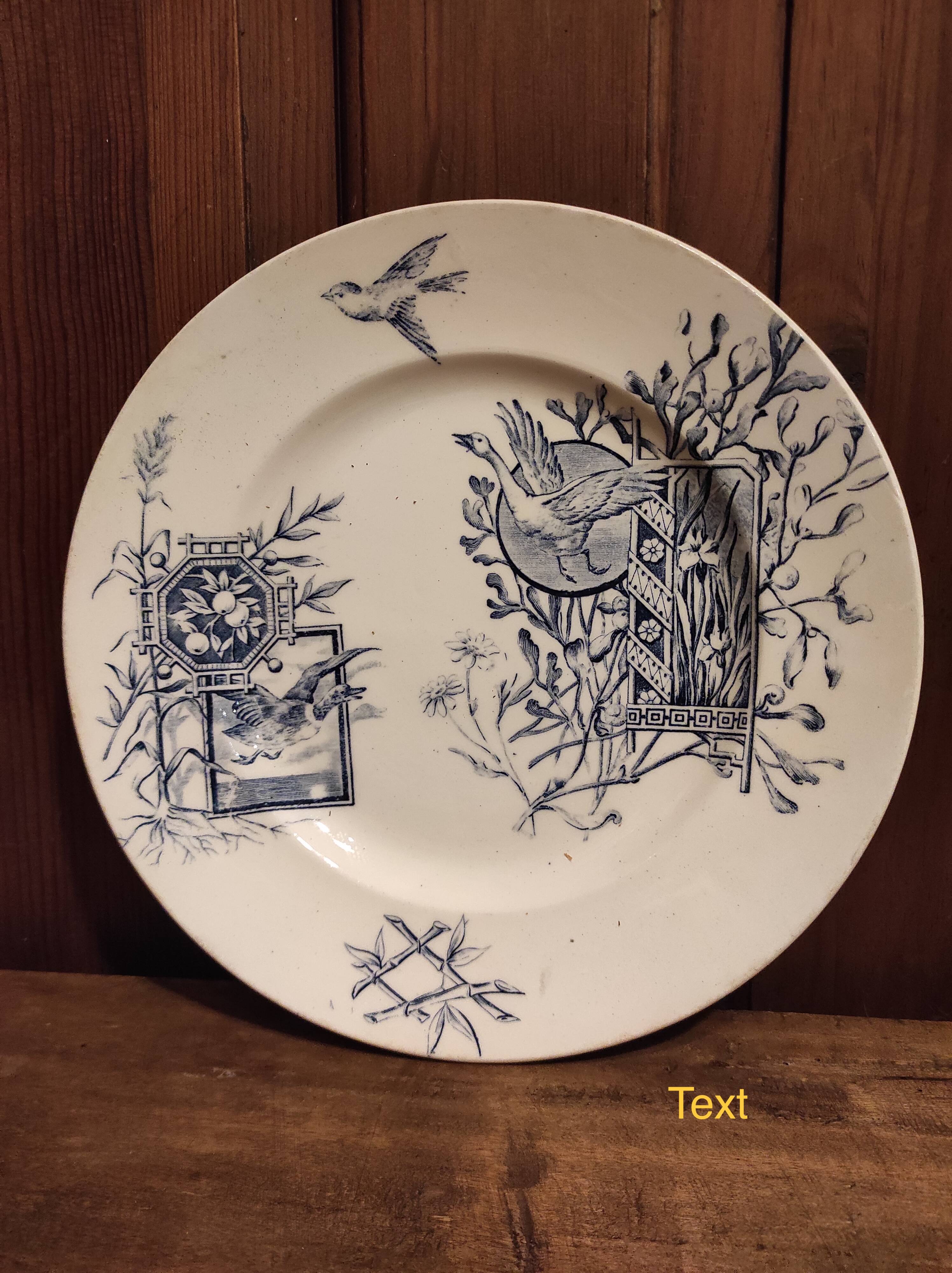 French vintage plate, R. Lafitte, Terre de Fer, Salins