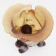 Vase "Amazonia" de Gaetano Pesce pour Fish Design