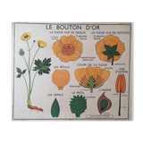 Old Rossignol school poster