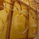 Aperitif dish servant compartments smoked molded glass 60s