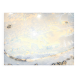 Antique serving platter in English earthenware 1850 Wild Rose