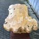 Table basse brutaliste en orme massif de fabrication artisanale