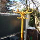Parrot coatrack