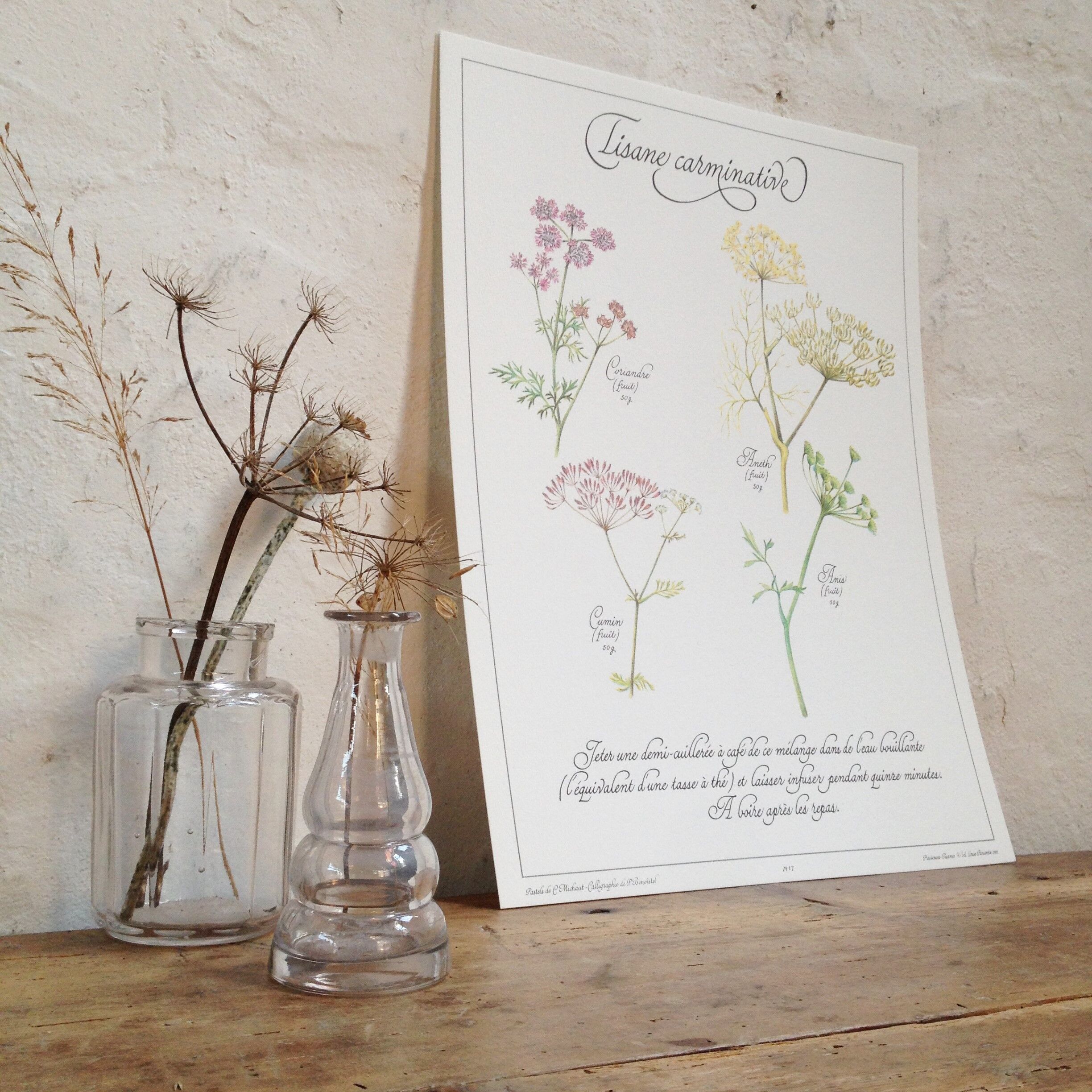 Botanical poster is a tisane
