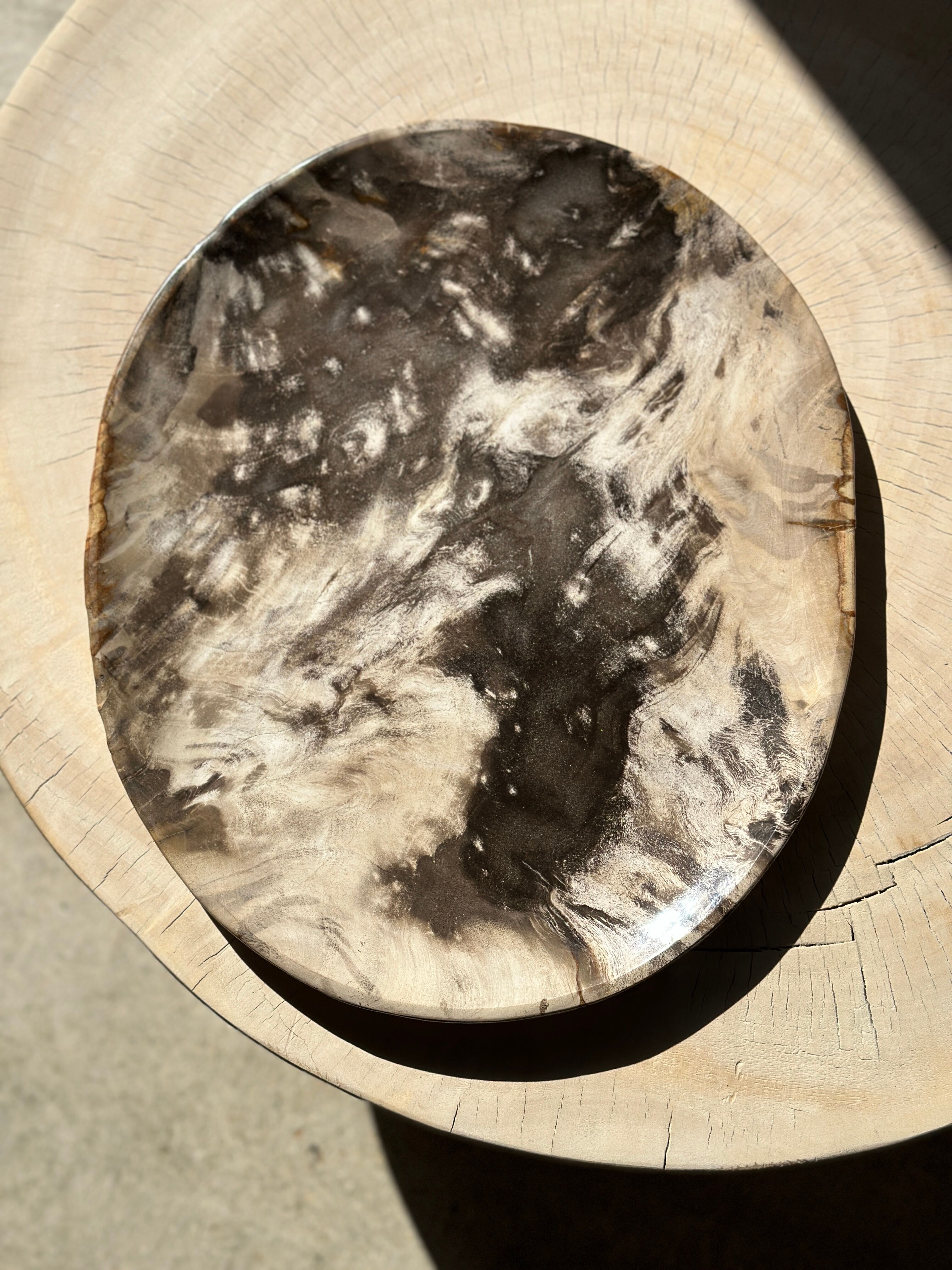 Very large empty pocket or petrified wooden flat