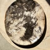 Very large empty pocket or petrified wooden flat