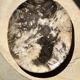 Very large empty pocket or petrified wooden flat