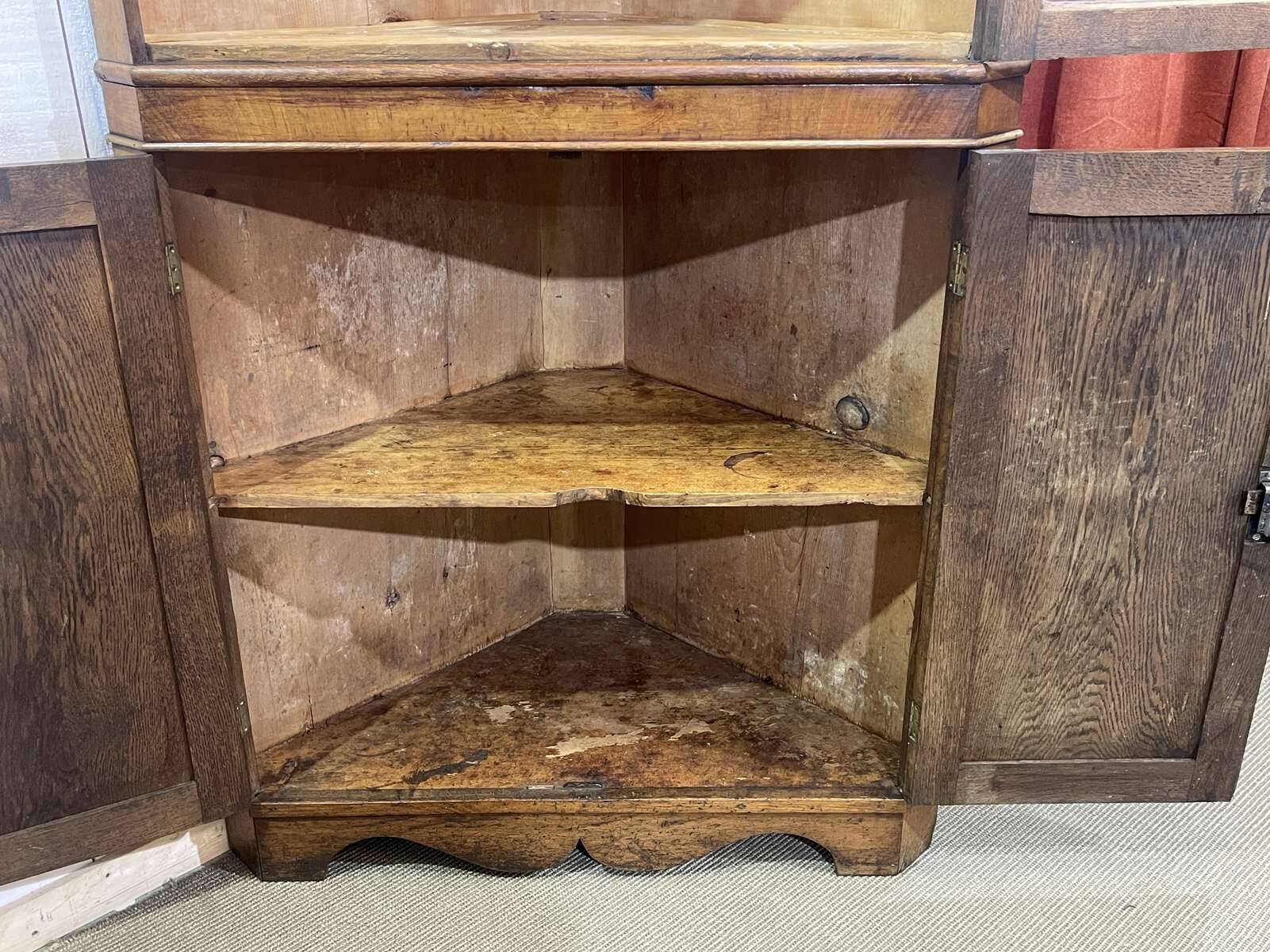 19th-century English corner cabinet in oak, mahogany, and fir.