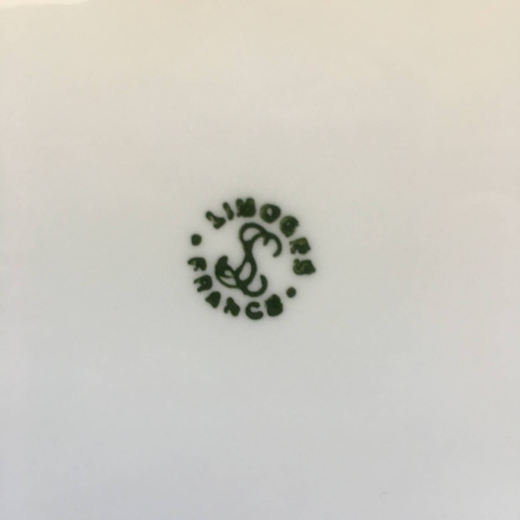 Limoges porcelain medallion