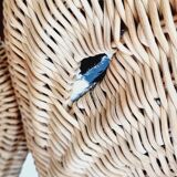 Side table or end of elephant sofa in wicker and rattan 70'