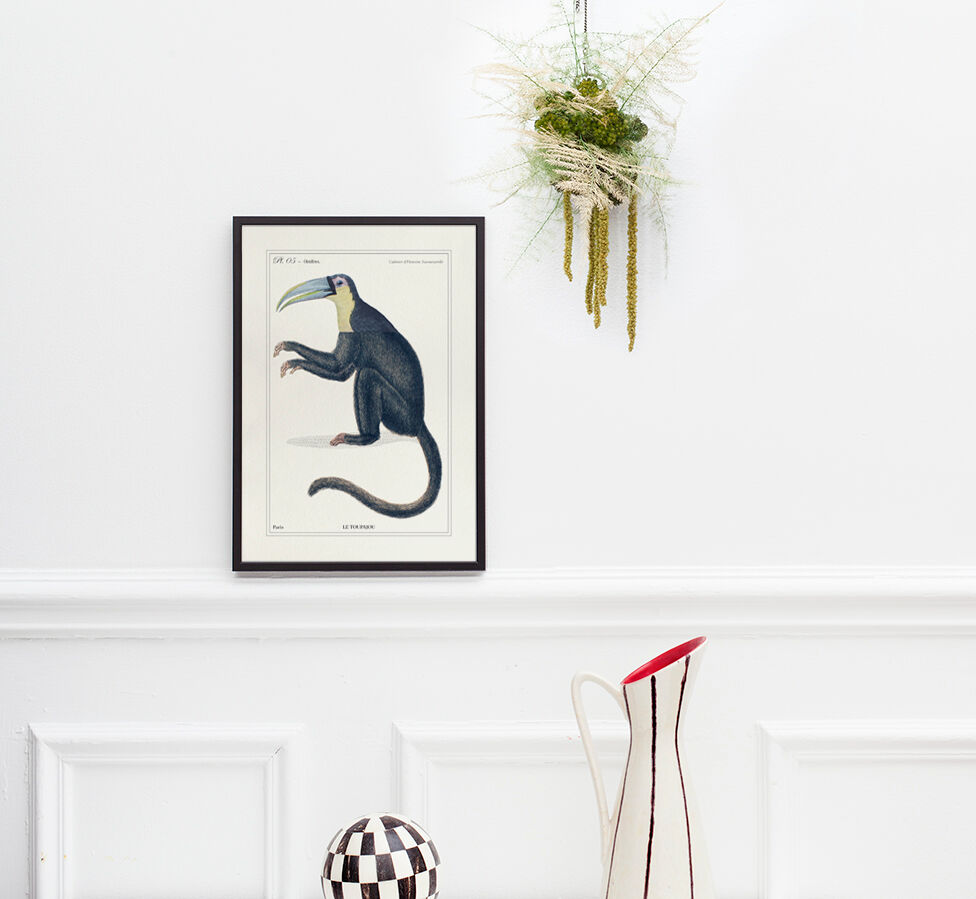 Chimera lithography animal engraving - the toupajou