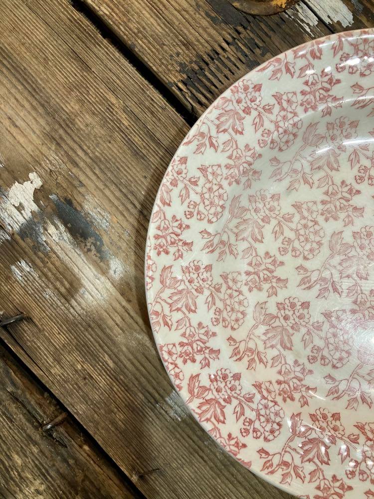Lot of 5 plates Red Gien